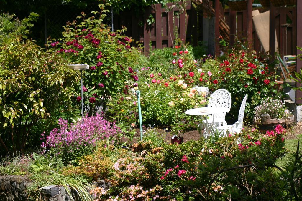 Castlewood Cottage Company Bay ภายนอก รูปภาพ