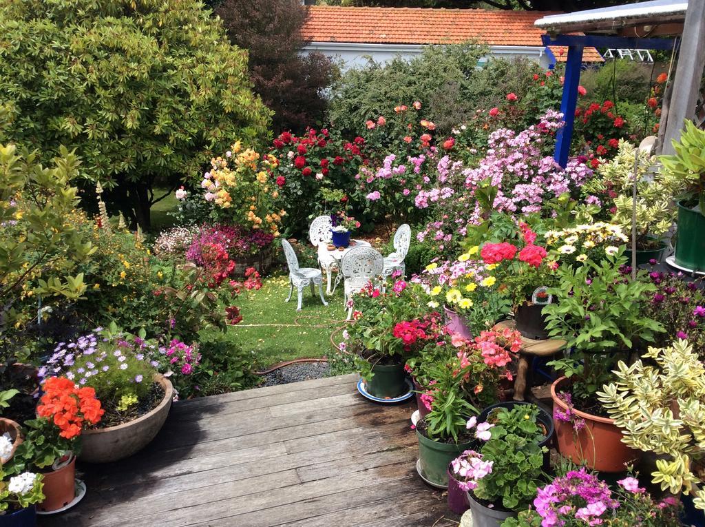 Castlewood Cottage Company Bay ภายนอก รูปภาพ